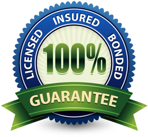 Insured Badge